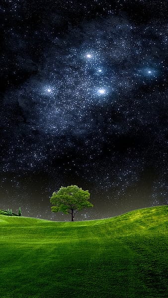 HD-wallpaper-night-field-natural-nature-new-nice-sky-stars-tree-thumbnail